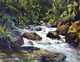 Afternoon on the Tamihi