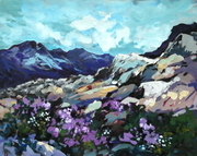 Alpine Patterns