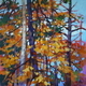 Autumn Celebration
