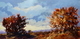 Autumn, Colebrook Road