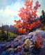 Autumn Coquette