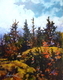 Autumn Drama