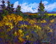 Autumn Near Heffley Creek 1