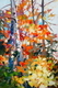 Autumn Paintbox
