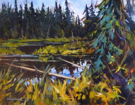 Beaver Meadows, Manning Park