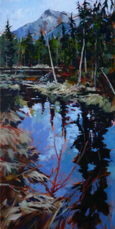 Beaver Pond, Duffy Lake