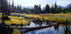 Beaver Tapestry