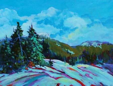 Blackcomb Vista 3