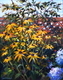 Blowsy Blossoms