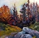 Boulders and Boughs