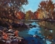 Brawner Creek Reflections