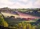 Burgundy Farms