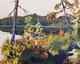 Calm Waters, Sasamat Lake