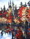 Canadian Reflections