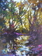 Canopy Reflections