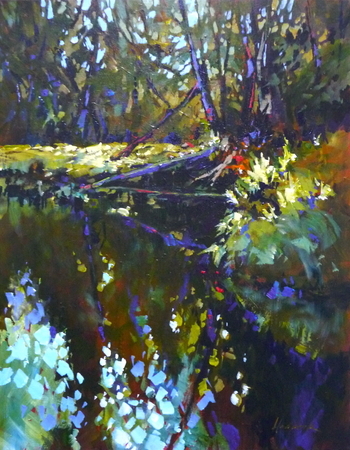 Canopy Reflections, Haida Gwaii