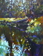 Canopy Reflections, Haida Gwaii