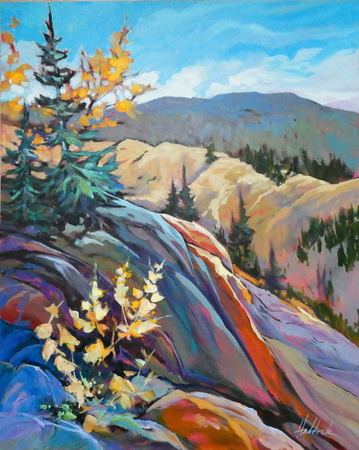 Canyon Overlook