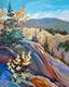Canyon Overlook