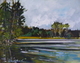 Cariboo Lakeshore