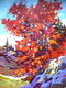 Carmine Tapestry
