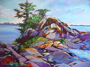 Coastal Sentinels