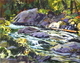 Cool Waters, Tamihi Creek