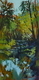 Creek Reflections