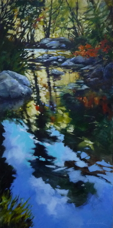 Dappled Reflections