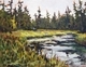 Estuary, Little Campbell