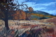 Fall in the Foothills