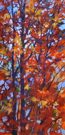 Fall Splendour