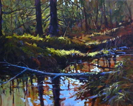 Forest Mirror