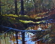Forest Mirror