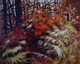 Forest Symphony
