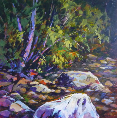 Gold Creek Study