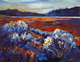 Grassland Blues