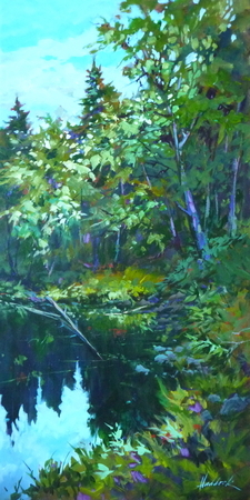 Haida Canopy