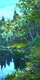 Haida Canopy