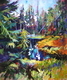 Haida Gwaii Kaleidoscope