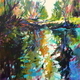 Harlequin Waters