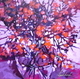 Heavenly Bamboo 2