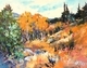 Hillside Autumn