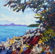 Howe Sound Vista