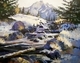 Icy Waters