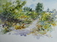 plein air watercolour Aug 5, 2020