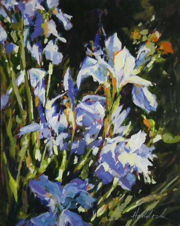 Iris Bounty