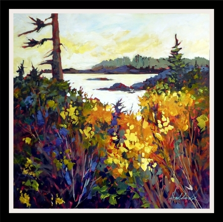 Island Broom
