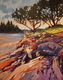 Island Mosaic