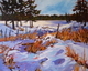 Lakeside Drifts